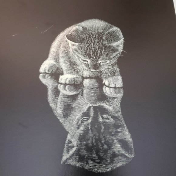 Other - Vintage 70s Droguett Kitten Reflection Print Art Cute